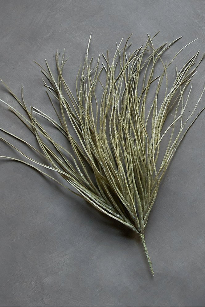 Abigail Ahern Savannah Grass