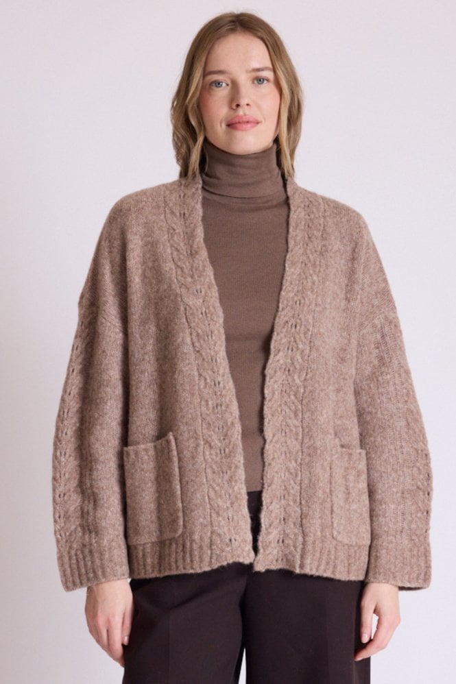 Absolut Cashmere Kim Cardigan in Chestnut