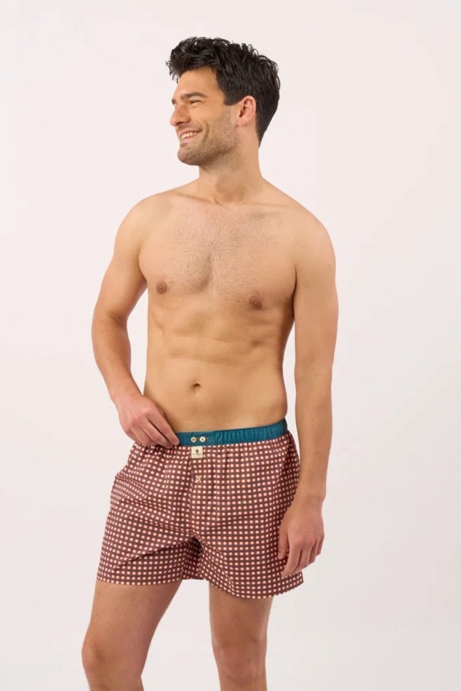 BillyBelt Organic Cotton Boxer Shorts in Pixel Pop