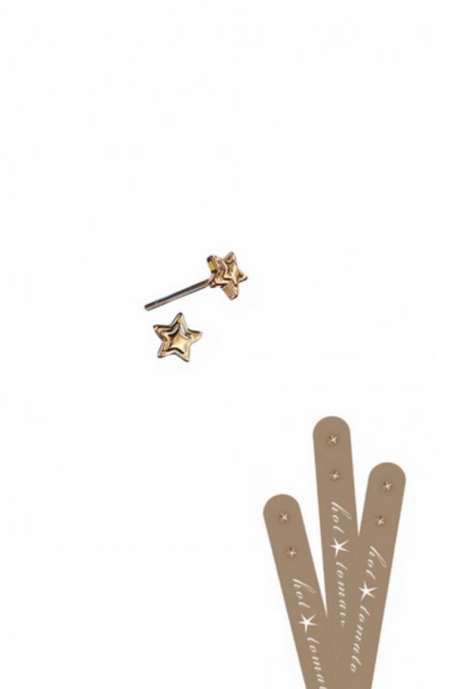 Hot Tomato Micro Star Studs in Gold