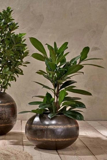 Endo Reclaimed Iron Globe Planter