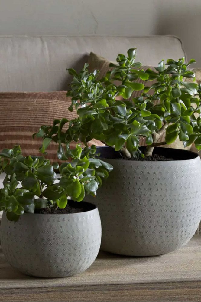 Nkuku Laoko Planter - Small