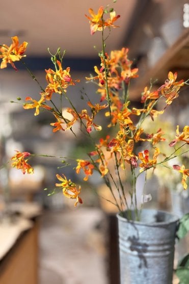 Orange Orchid Spray