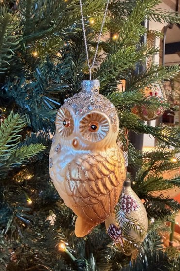 Oscar Hooting Owl