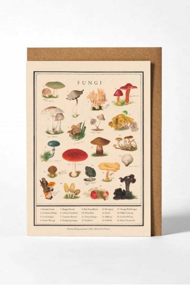 Funghi Greeting Card