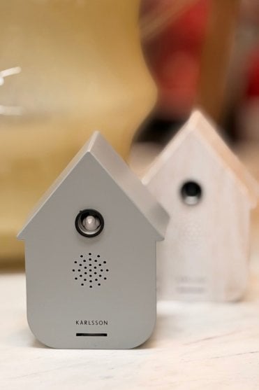 Sound Box Modern Cuckoo Mouse Grey