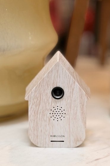 Sound Box Modern Cuckoo White Wash