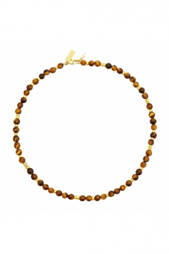 Talis Chains Jaipur Choker in Tigers Eye