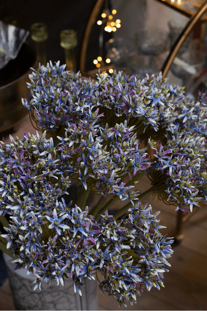 The Home Collection Allium Stem