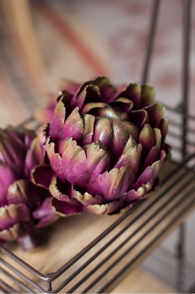 The Home Collection Artichoke Head Purple and Green