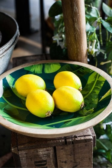 Artificial Lemon