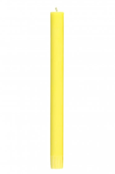 Candle in Primrose