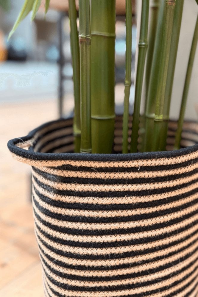 The Home Collection Cotton Stripe Basket in Black and Natural