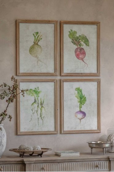Croston Set of 4 Root Vegetable Framed Prints