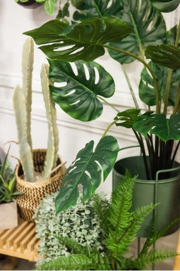 Faux Green Monstera in Black Pot