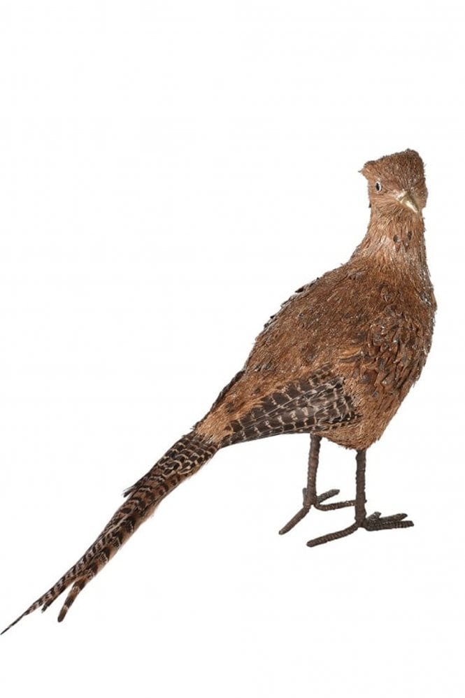 The Home Collection Female Pheasant