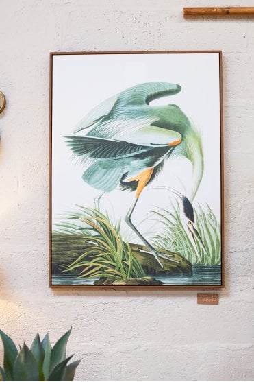 Green Crane Picture