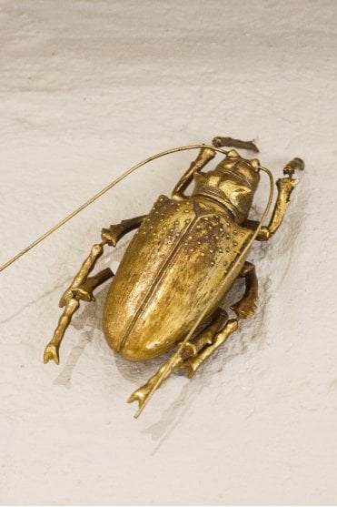 Large Gold Spotted Beetle Wall Décor