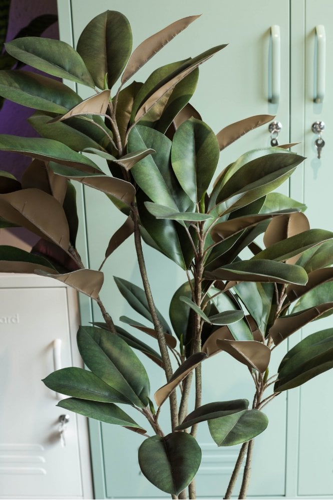 The Home Collection Magnolia Denudata Tree