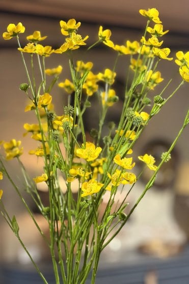 Meadow Buttercup Spray