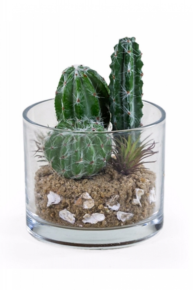 Sue Parkinson Mixed Cacti in Glass Pot at Sue Parkinson