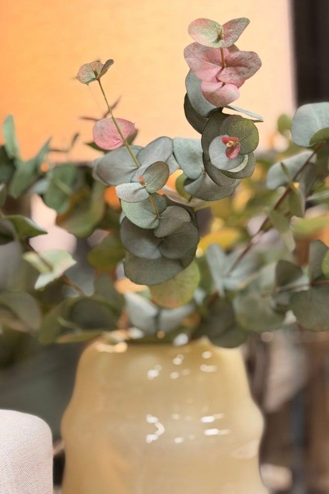 The Home Collection Natural Blush Eucalyptus Spray