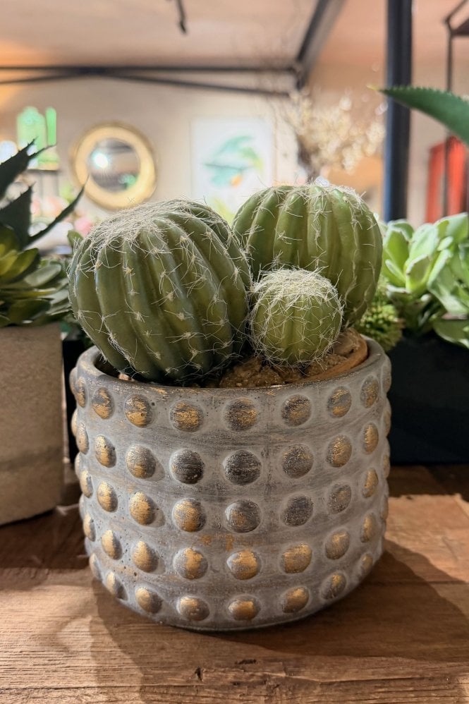 The Home Collection Patina Dots Plant Pot
