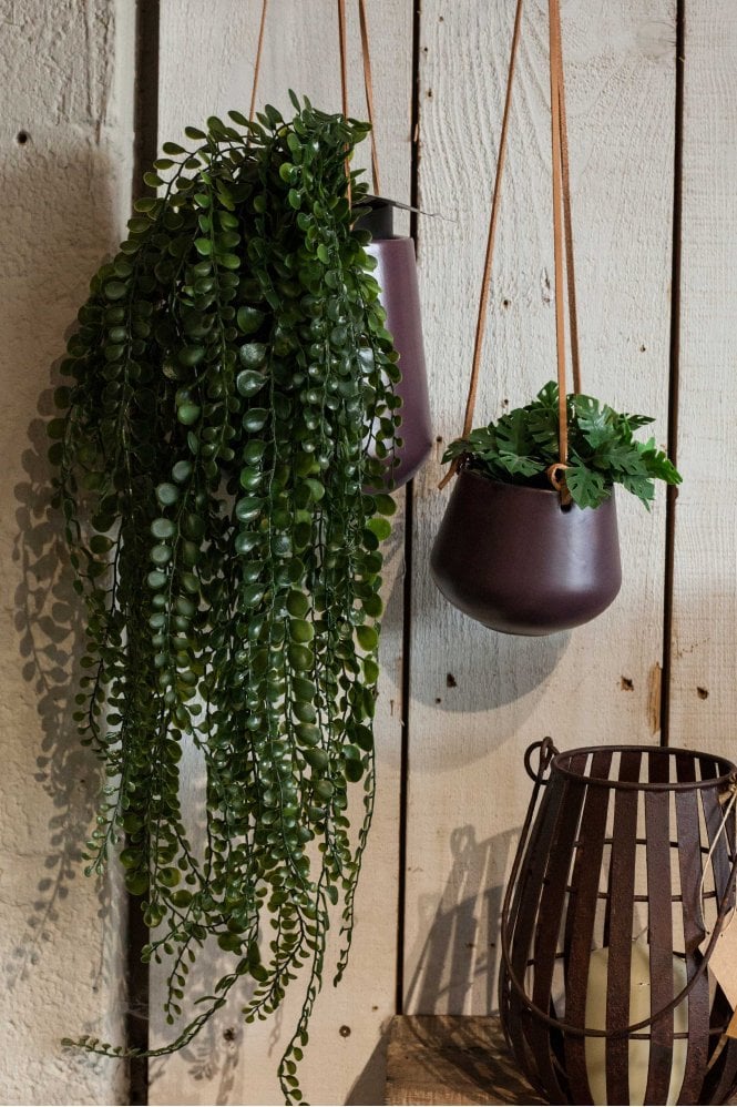 The Home Collection Pea Leaf Hanging Plant