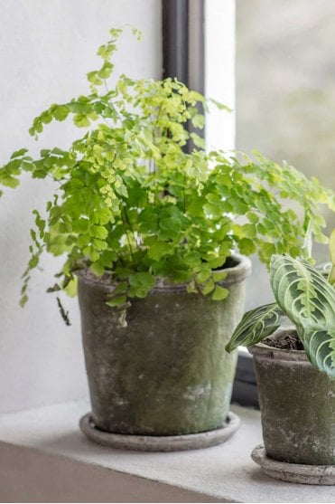 Pewsey Large Planter