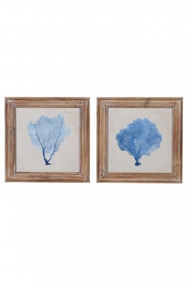 Set of 2 Blue Coral Pictures