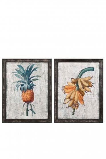 Set of 2 Botanical Pictures