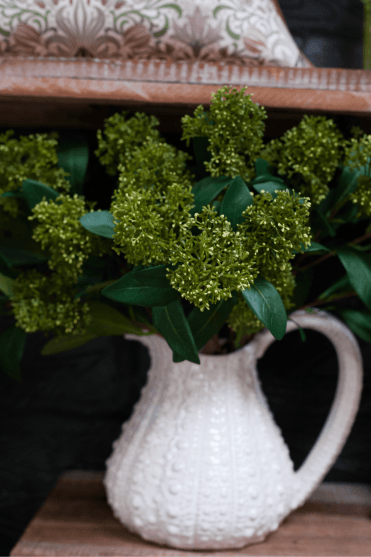 Skimmia with Leaves