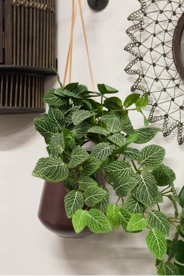 Skittle Hanging Planter