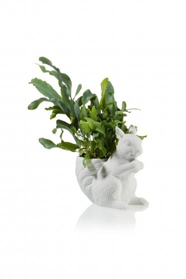 Squirrel Planter