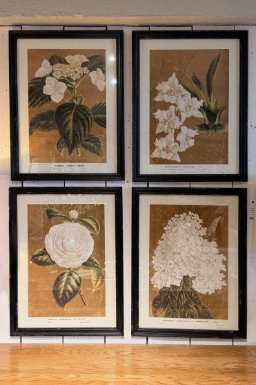 White Floral Wall Art