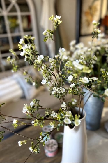 White Wax Flower