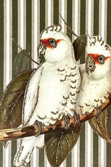 Cockatoo Friends Greeting Card