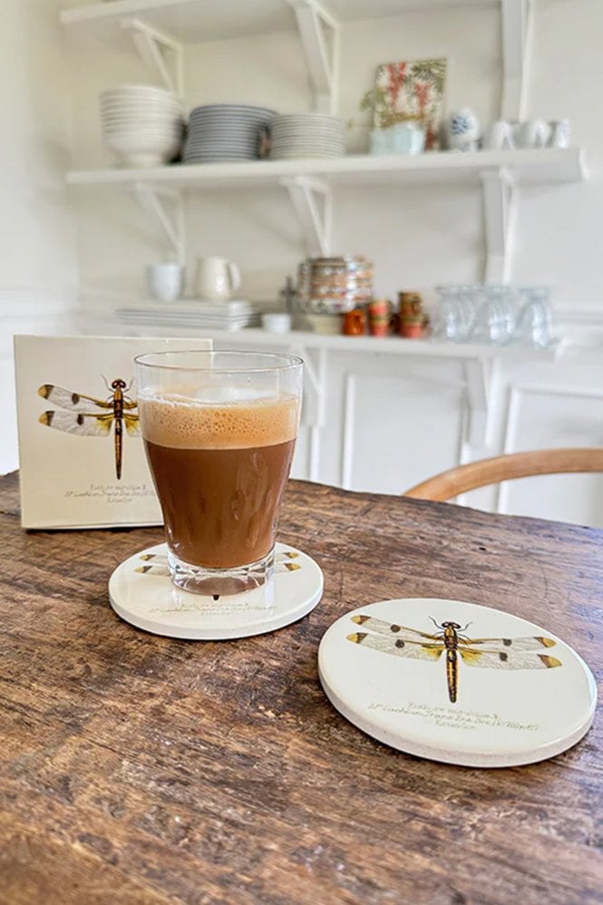 Vanilla Fly Dragonfly Coasters Set of 4
