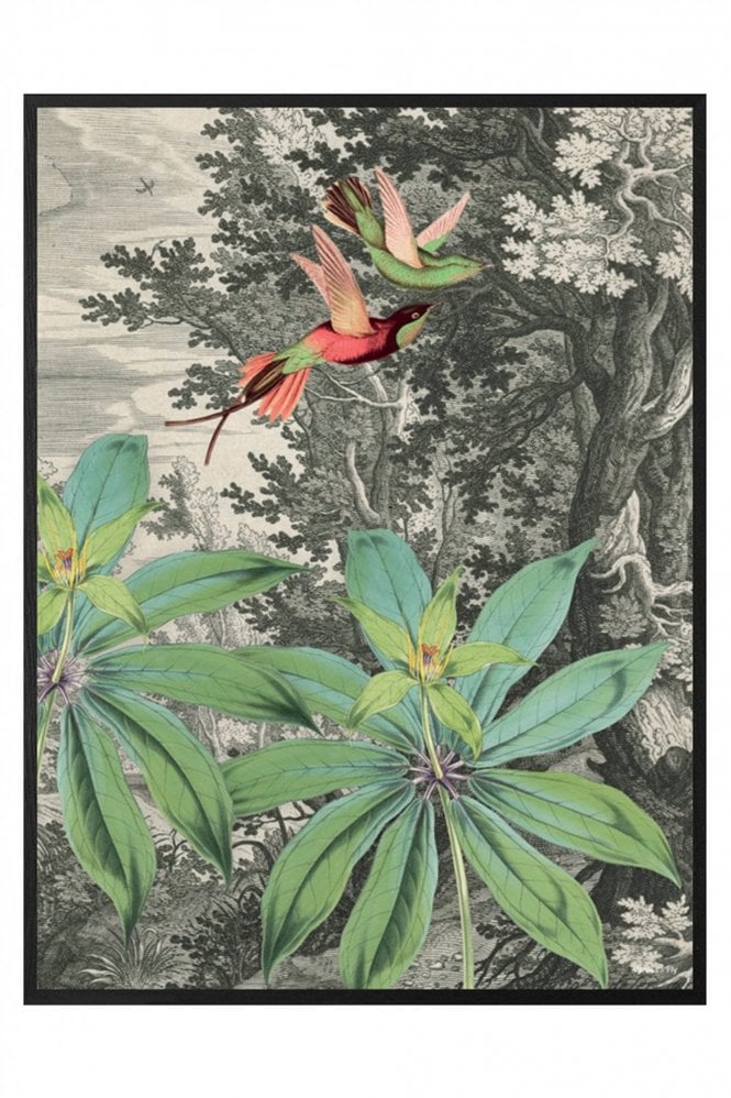 Vanilla Fly Flying Birds Poster