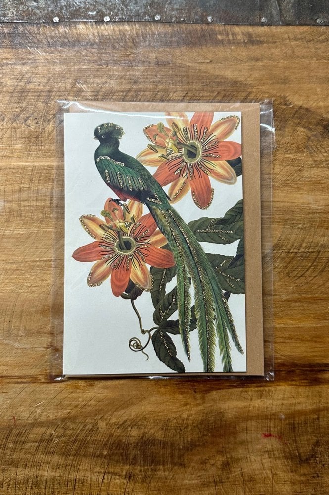 Vanilla Fly Hope Green Longtail Greeting Card