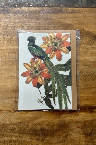 Hope Green Longtail Greeting Card