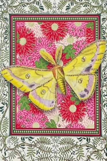 Indian Butterfly Greeting Card