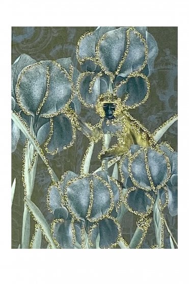 Monkey Greeting Card
