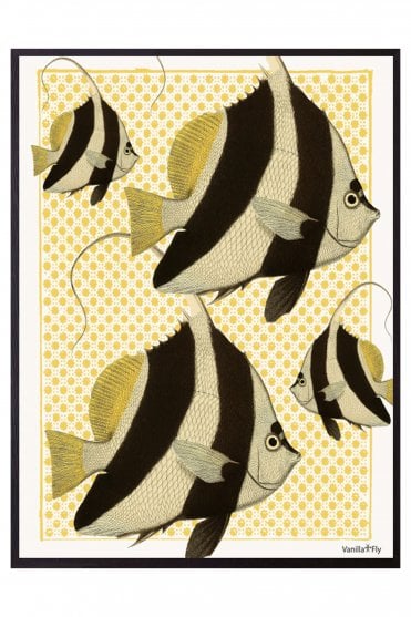 Tropical Fish PSC256