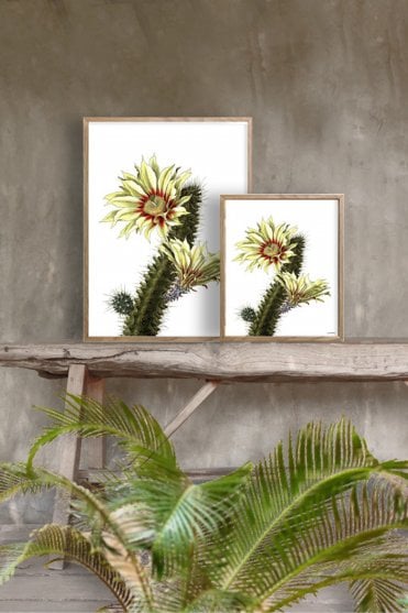 White Cactus Poster