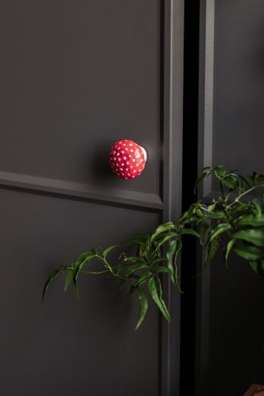 Cabinet Knob Fly Agaric