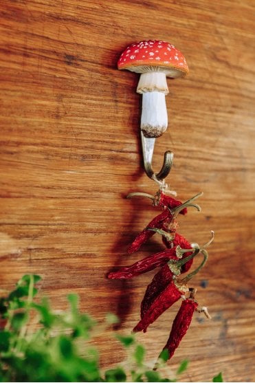 Fly Agaric Hook